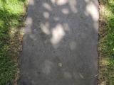 image of grave number 764110